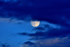 予行演習のはずが・・・11/4