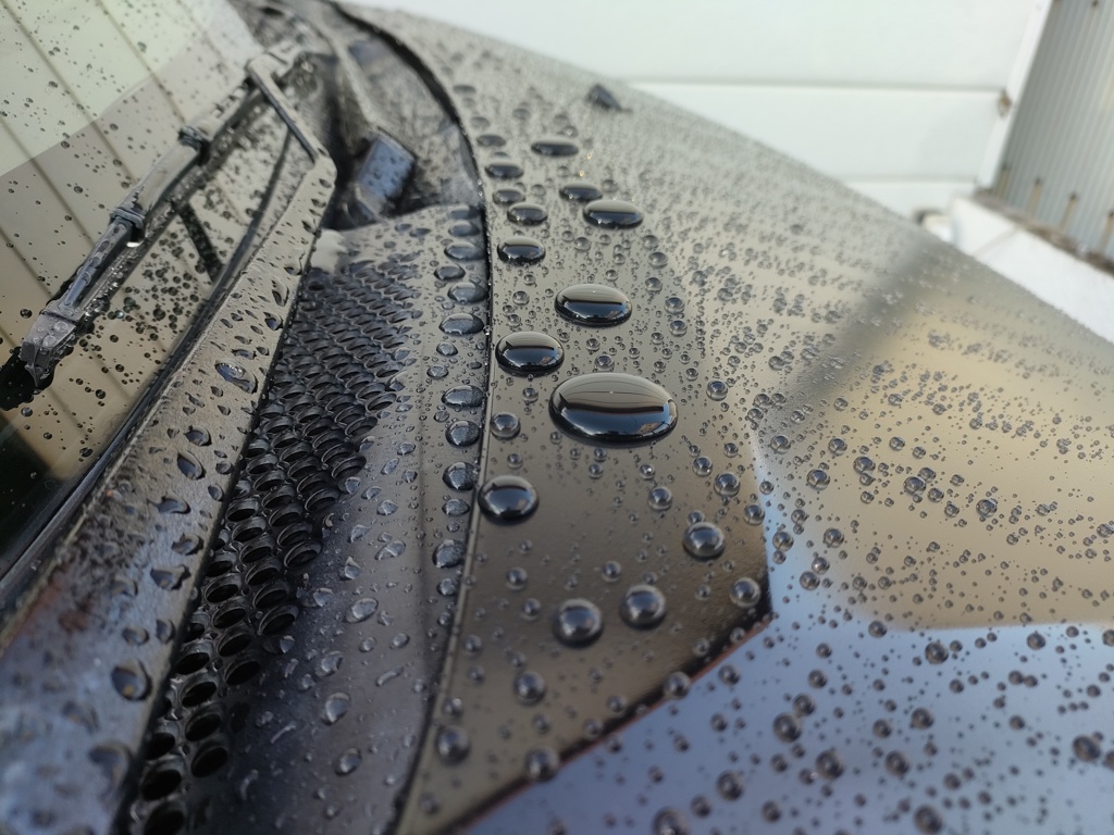 ワックス後の雨上がり！　11/1