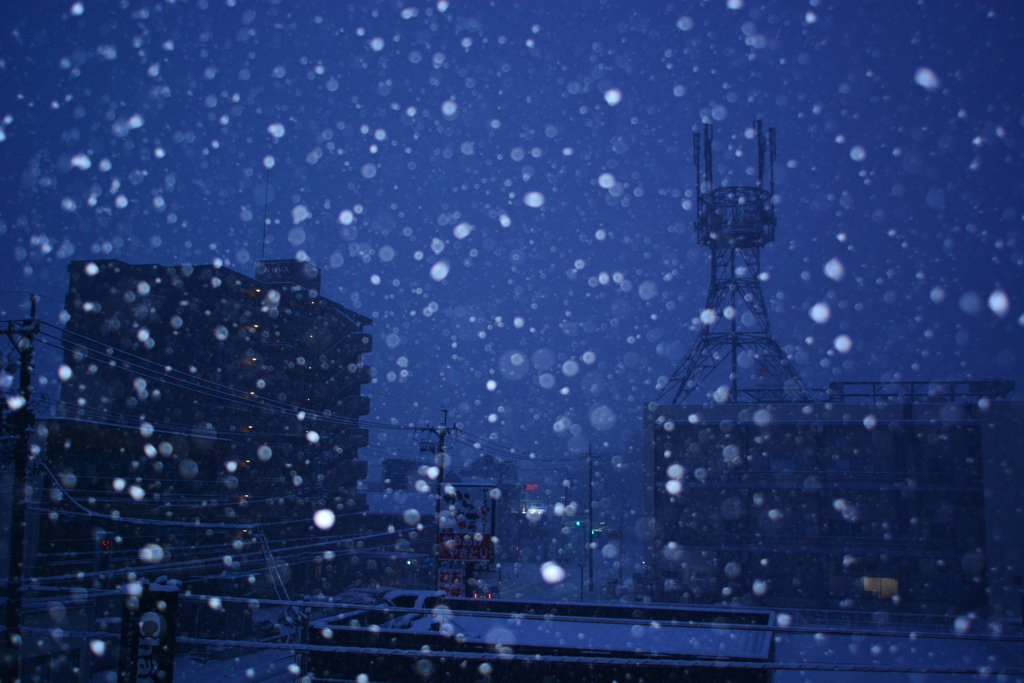 降雪！　12/24