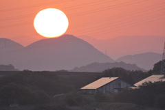 今朝の光景　4/19