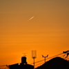 夜明けの飛行機雲