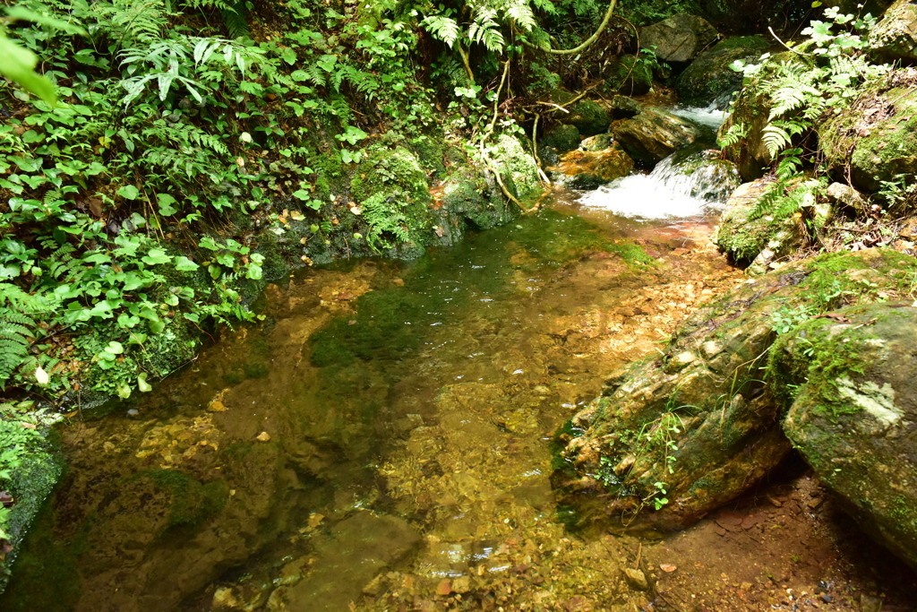 もうすぐ長良川　萩の滝