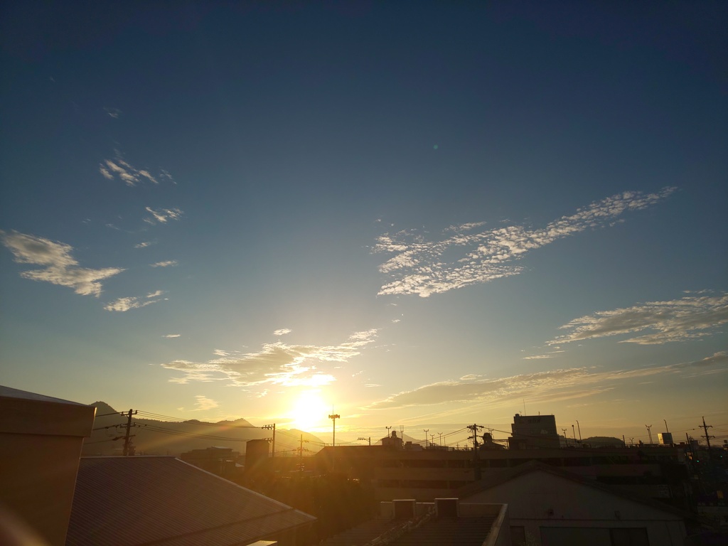 梅雨の最中‼️