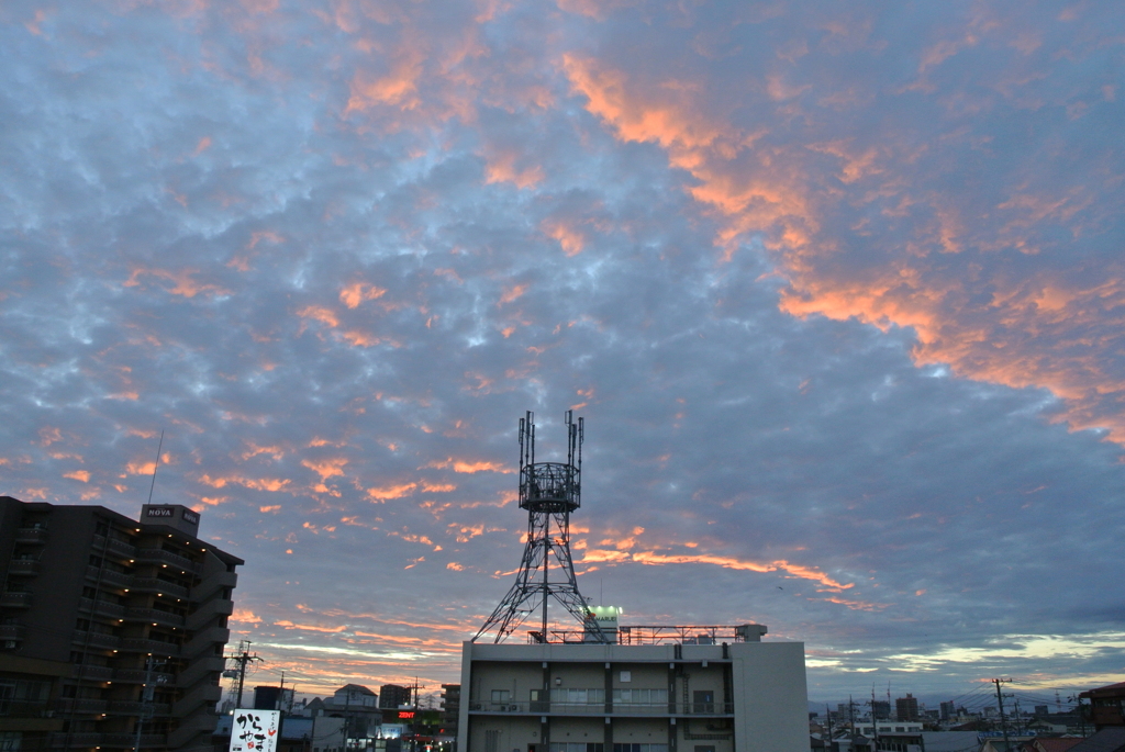 ちょっと遅い　　本日の夕焼け