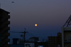 名月の残り　9/11