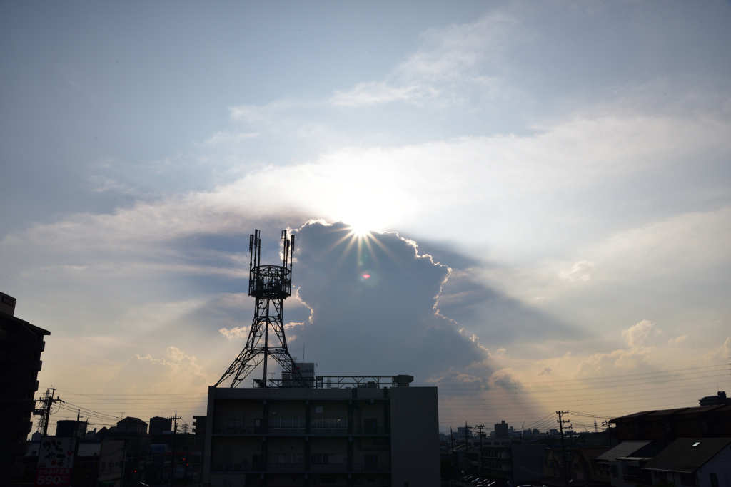 頑張りすぎです太陽さん！