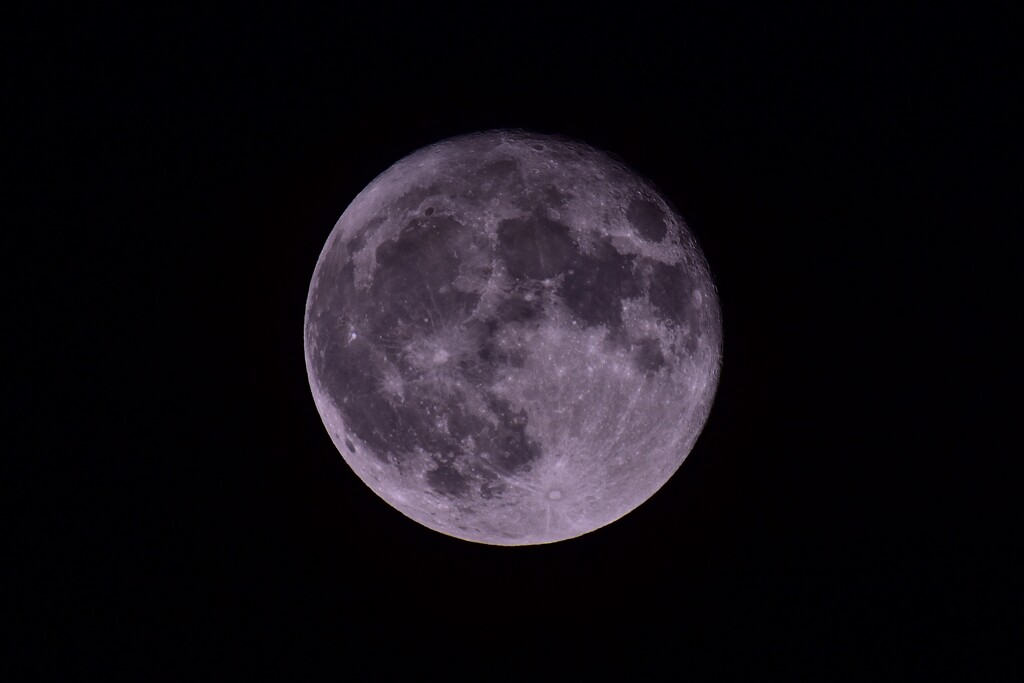 満月の17時間後・・・