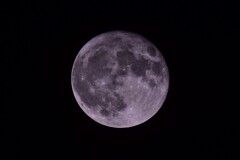 満月の17時間後・・・