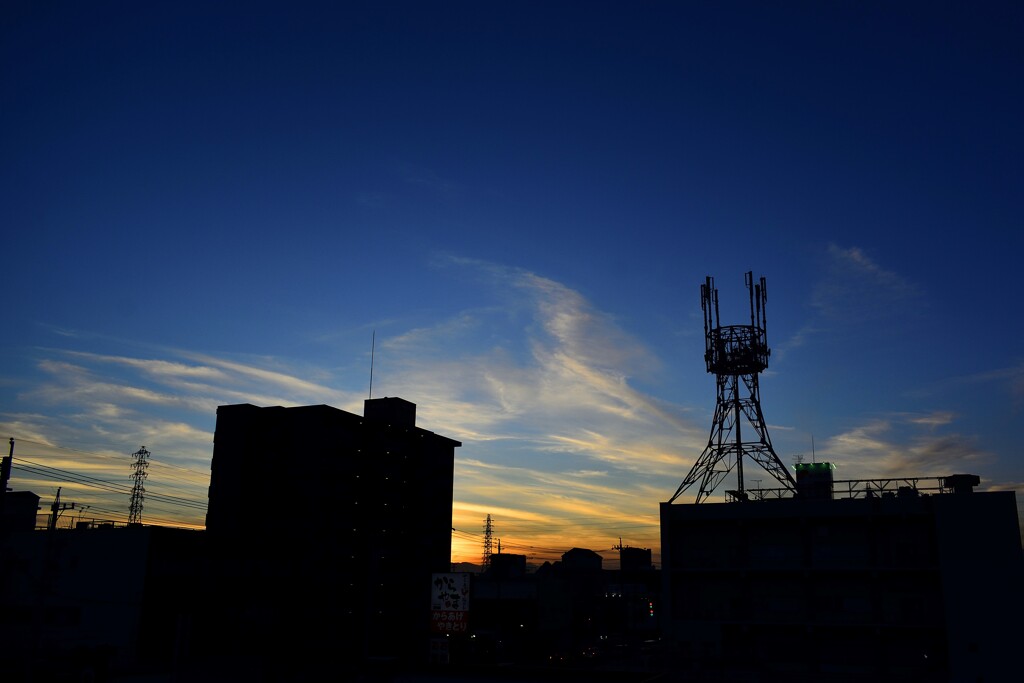 午後の光景！　11/27