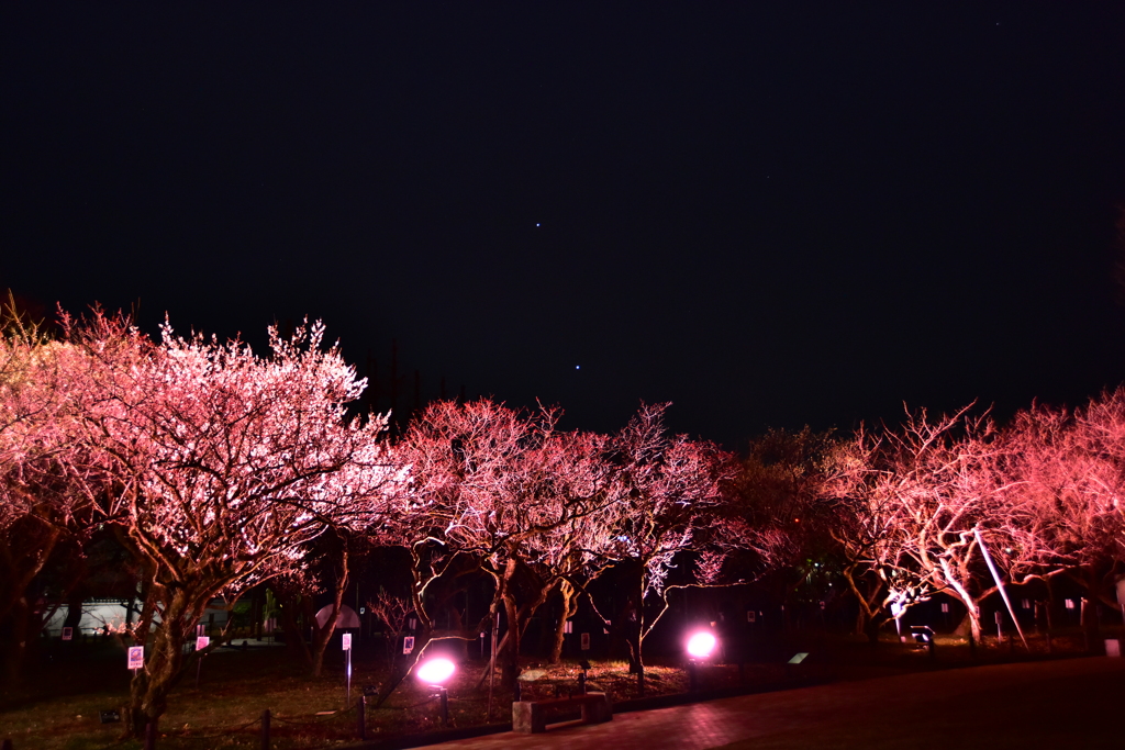 金星・木星・梅林公園
