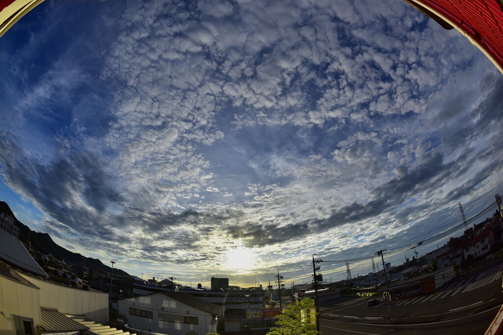 今朝の光景！　9/23