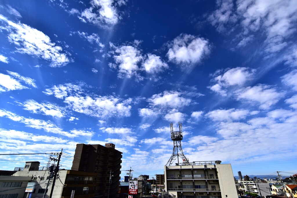 今日の空！　11/26