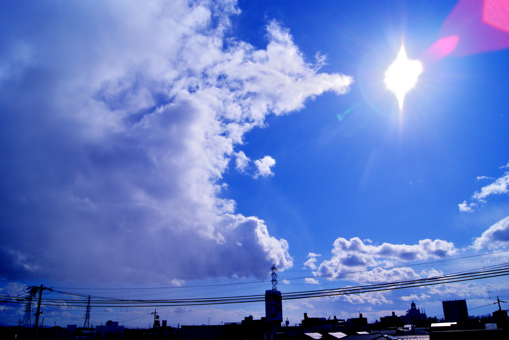 今昼の光景！　1/11