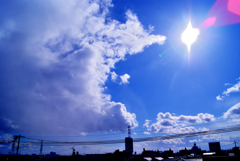 今昼の光景！　1/11