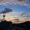 本日の夕焼け