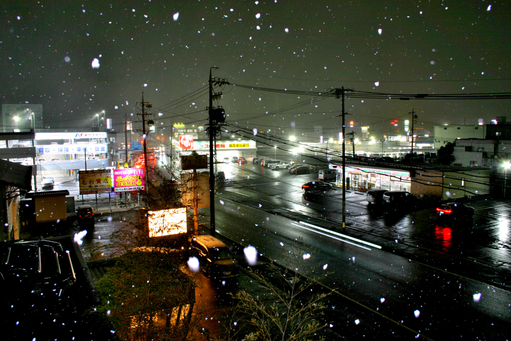 昨夜の降雪！　1/11