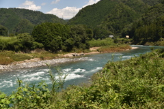 清流戻る　長良川