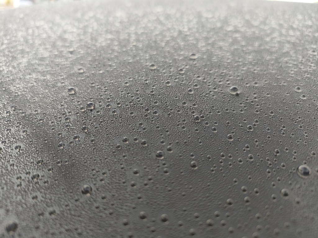 今朝も水玉！　2　11/2