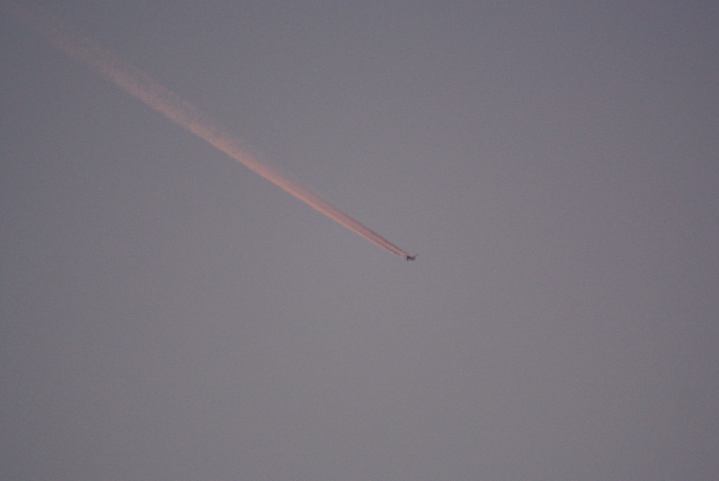 夕暮れの飛行機雲！！！