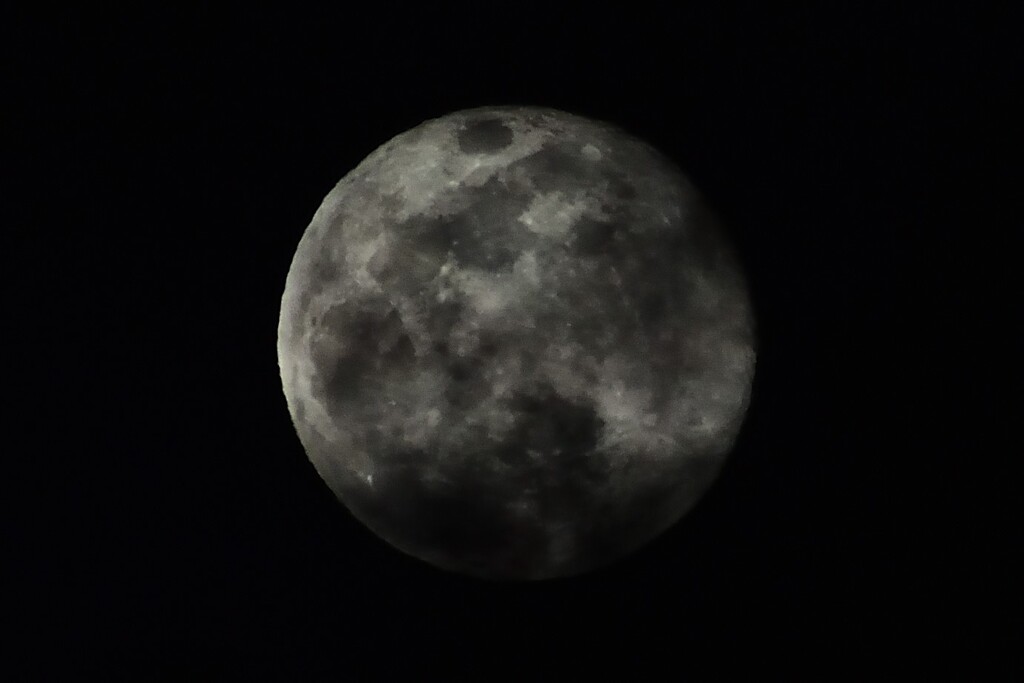 雲に汚れたウルフムーン