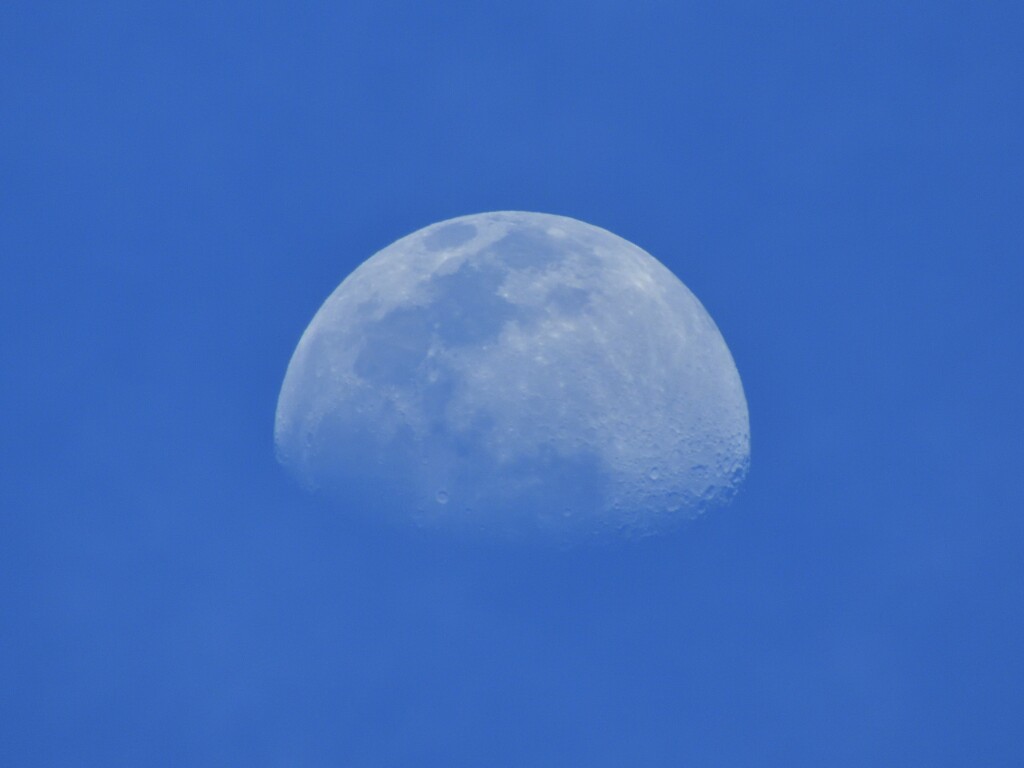 十日夜の月　4/22