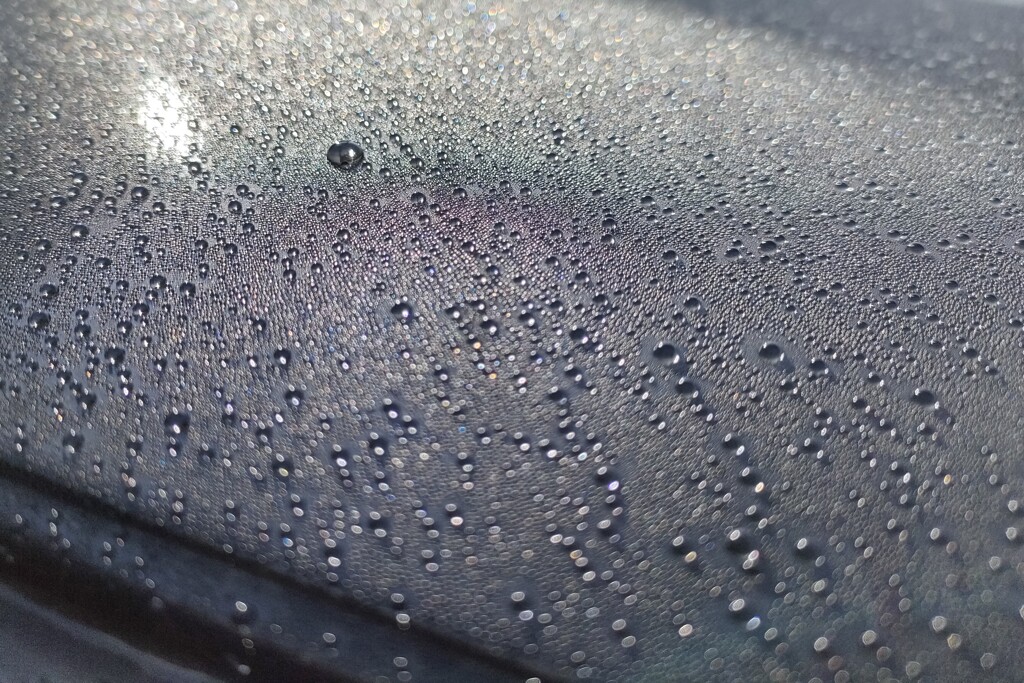 今朝も水玉！　11/2