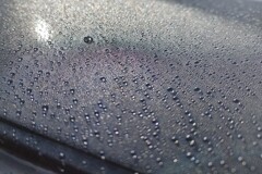 今朝も水玉！　11/2