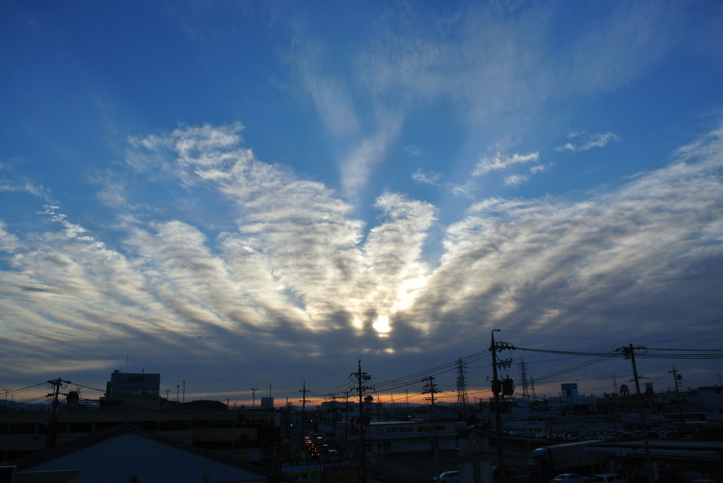 今朝の光景　11/10