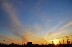 朝陽　カラス　飛行機雲　2022.1.9