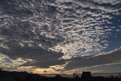 いろんな表情をします！！
