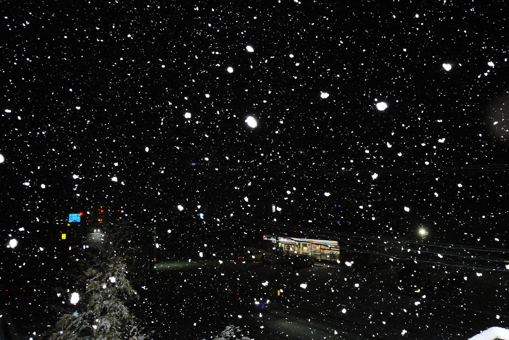 岐阜市でも積雪・・・