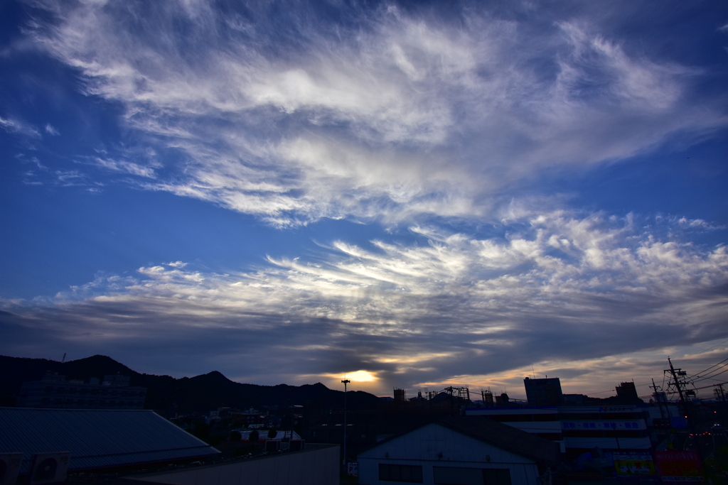 今朝の光景　東