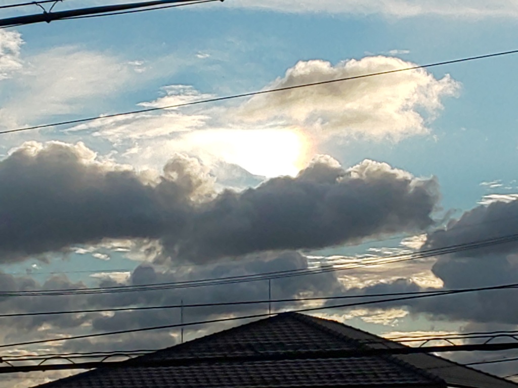 本日の夕景‼️