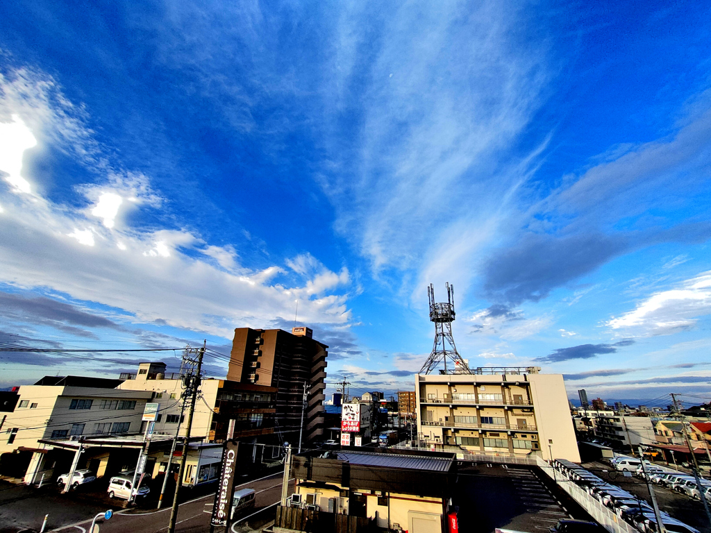 秋なのか？冬なのか？　2　11/11