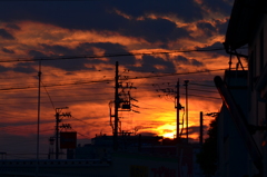 電線と朝焼け