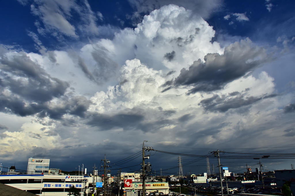 成長3　入道雲