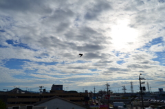 朝の情景　天気回復の見込み　10/19