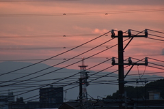 夕焼けと電線