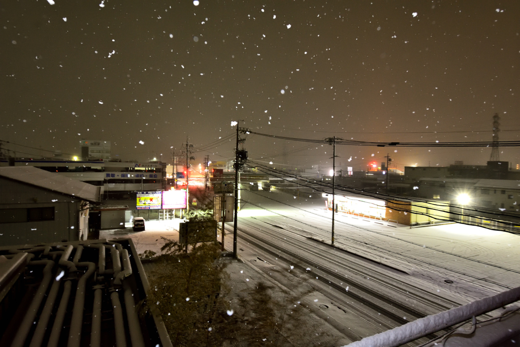 今朝の雪模様！