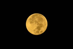 明けの中秋の名月　9/11