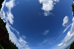 雲