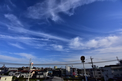 梅雨　中休みの午後！　7/2