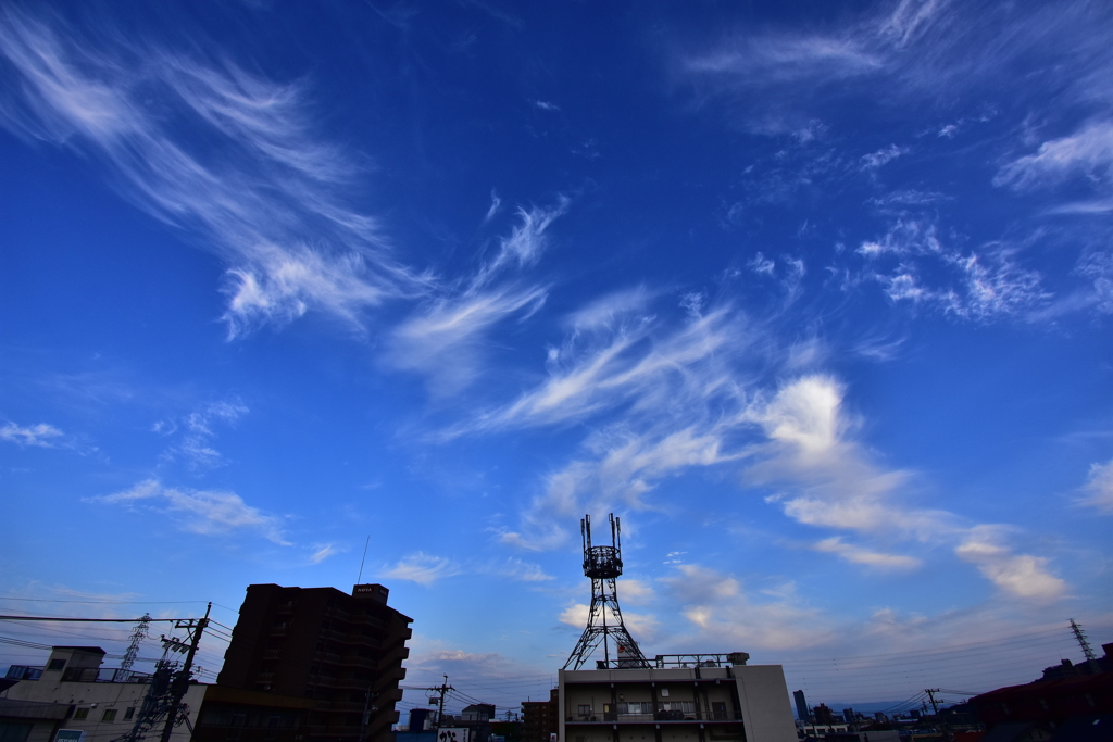 今朝の光景　西