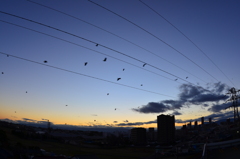 一昨日の夕景　12/13