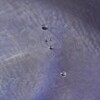 気持ちはクラウン！ 5