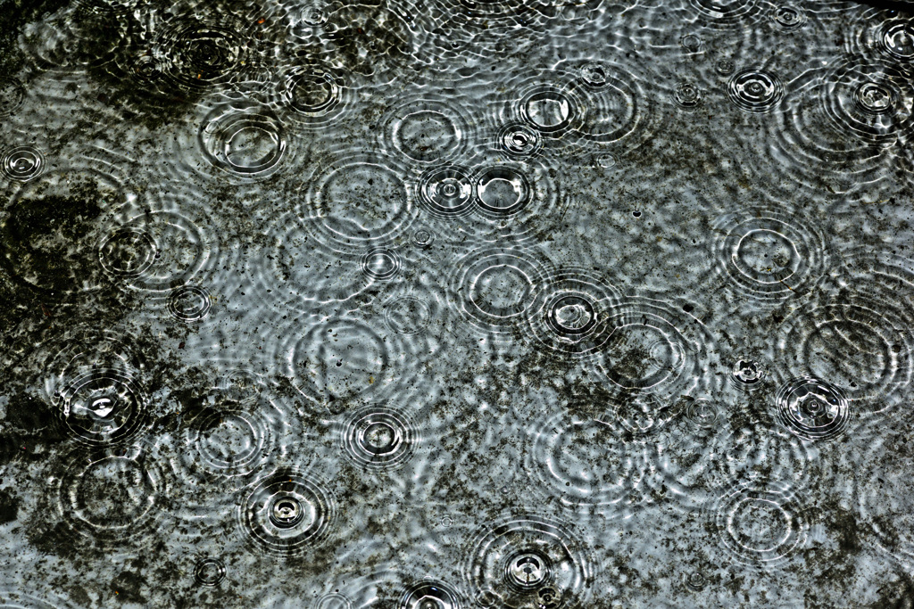 雨粒！　6/14