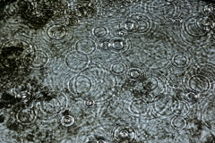 雨粒！　6/14