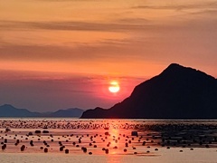 故郷の夕焼け!  5/13