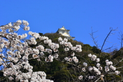 岐阜城(1)