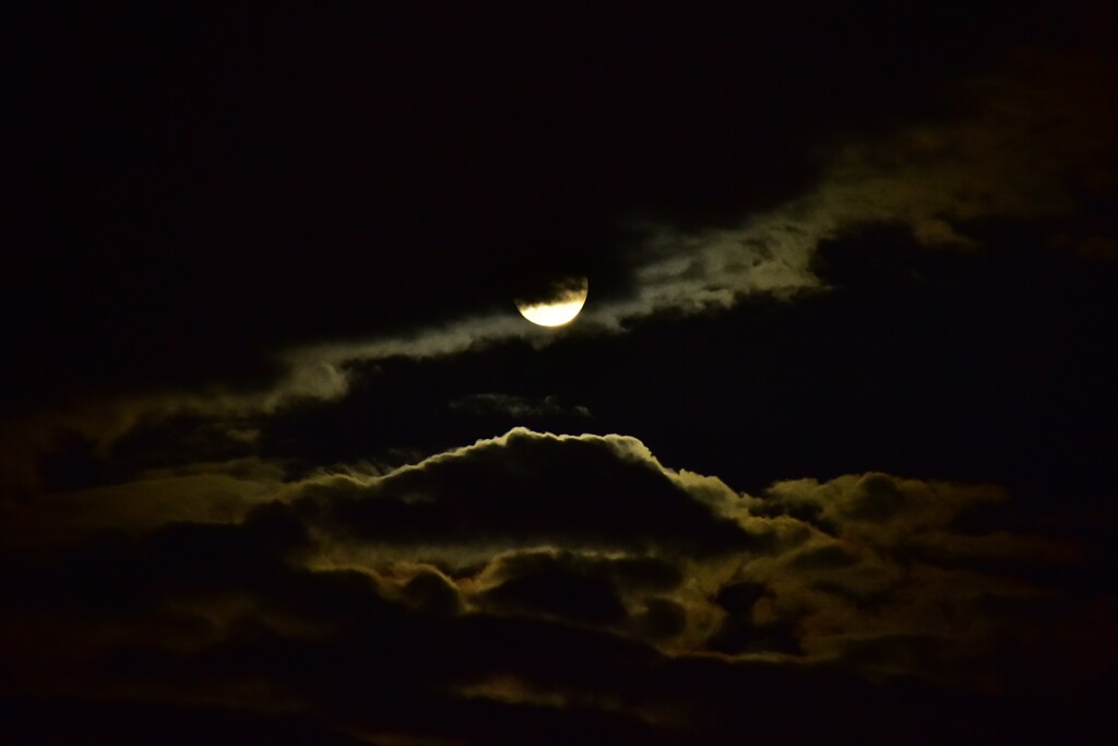 予行演習2　中秋の名月